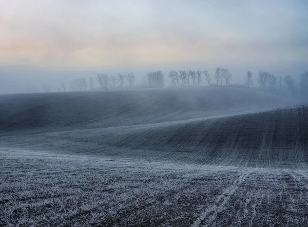 Winter hilly field — Stock Photo, Image