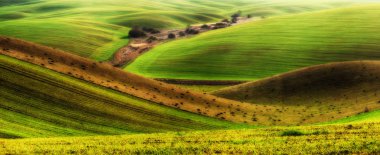 Yeşil tepelik alanın