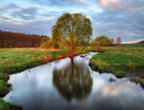 Ein Frühlingsmorgen am Fluss — Stockfoto