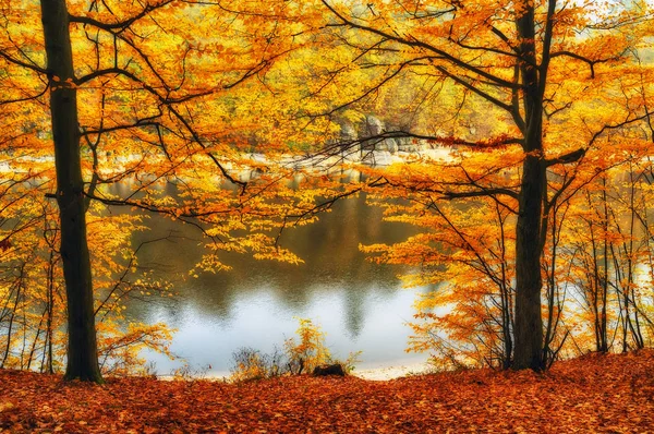 Mañana de otoño junto al río — Foto de Stock