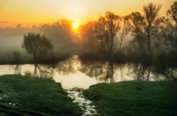 Quellreflexion im Wasser — Stockfoto