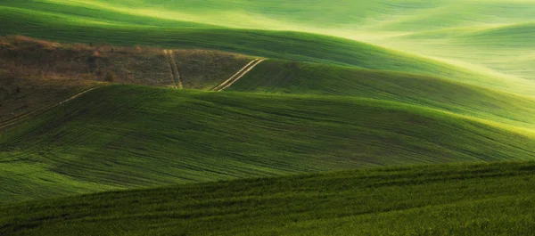 Зеленое поле холма — стоковое фото