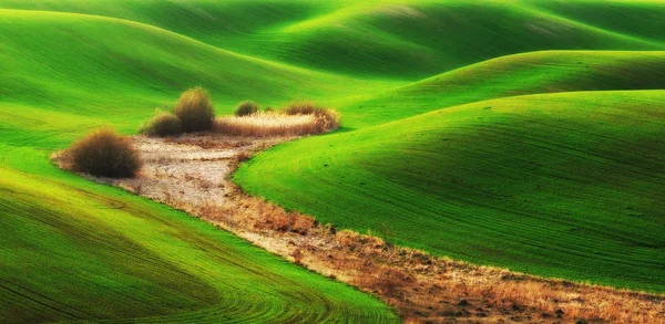 Campo montanhoso verde — Fotografia de Stock