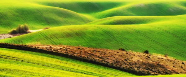 Yeşil tepelik alanın