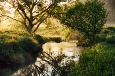 nehir. Bahar sabahı pitoresk Irmak, siste golden ışınları