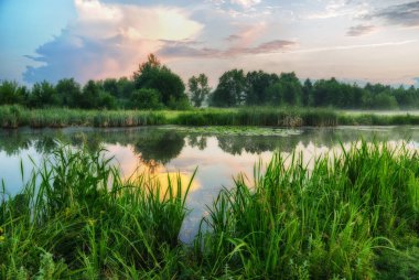 yansıma. Nehri yakınında sessiz bir yaz