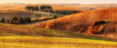 Tepelik alan. Sonbahar günbatımı alanında. Pitoresk bir alanda sessiz akşam