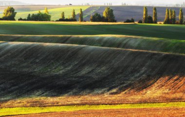 Tepelik alan. Sonbahar günbatımı alanında. Pitoresk bir alanda sessiz akşam