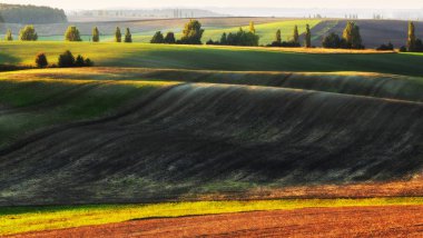 Tepelik alan. Sonbahar günbatımı alanında. Pitoresk bir alanda sessiz akşam