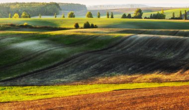 Tepelik alan. Sonbahar günbatımı alanında. Pitoresk bir alanda sessiz akşam