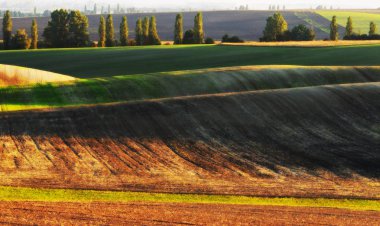 Tepelik alan. Sonbahar günbatımı alanında. Pitoresk bir alanda sessiz akşam