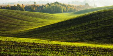 Tepelik alan. Sonbahar şafak alanında. Pitoresk bir alanda sakin sabah