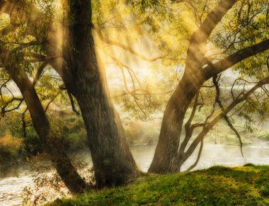 Altın ışınları. Nehir kıyısında pitoresk bir sisli şafak