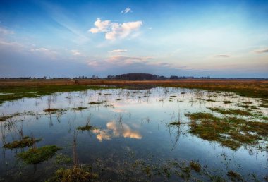 Bahar sabahı. Güzel şafak pitoresk bir Nehri yakınında. Renkli sisli şafak