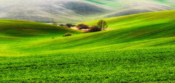 Green hilly field — Stock Photo, Image