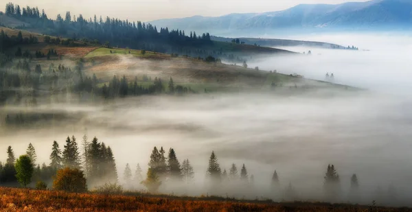 喀尔巴阡有雾的早晨 — 图库照片