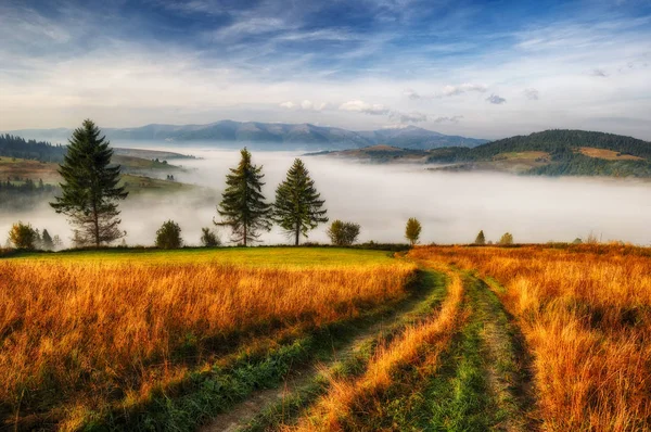 Karpatennebel am Morgen — Stockfoto