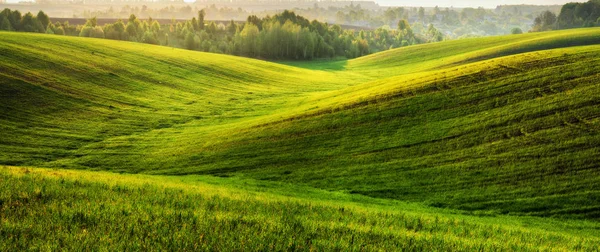 Ein hügeliges Feld. ein malerisches hügeliges Feld, ein Frühlingsmorgen — Stockfoto
