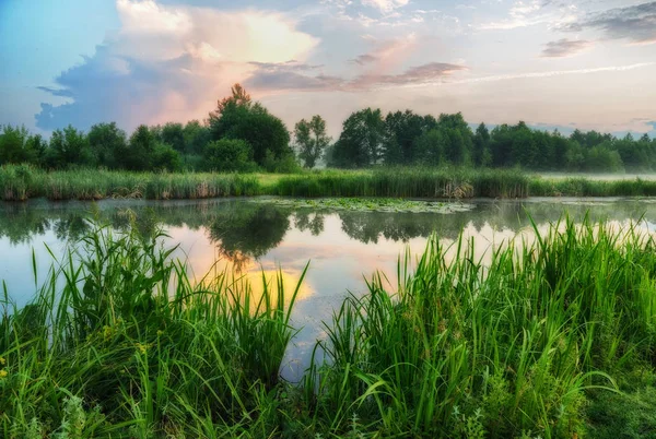 Reflektion. En lugn sommar nära floden — Stockfoto