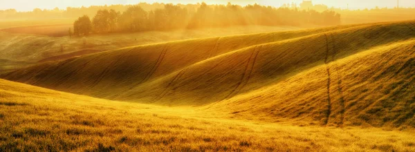 山の畑。美しい山の畑で春の朝 — ストック写真