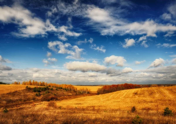 Autumn field. A picturesque hilly field. A birch grove and a beautiful sky — Stock Photo, Image