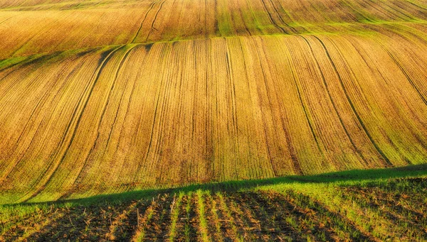 Hilly field. Autumn sunset in the field. Quiet evening in a picturesque field — Stock Photo, Image