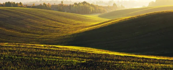 Hügelland. Herbstdämmerung auf dem Feld. ruhiger Morgen in einem malerischen Feld — Stockfoto
