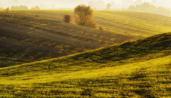 Hügelland. Herbstdämmerung auf dem Feld. ruhiger Morgen in einem malerischen Feld — Stockfoto