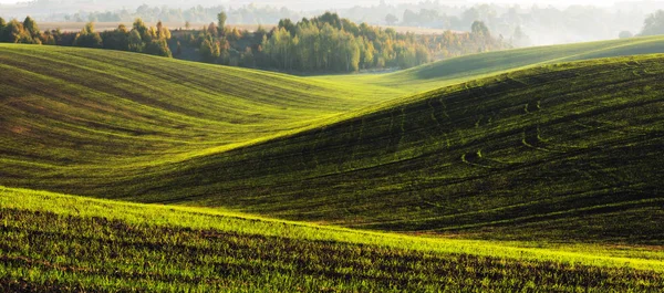 Campo Hilly. Alvorada de outono no campo. Manhã tranquila em um campo pitoresco — Fotografia de Stock