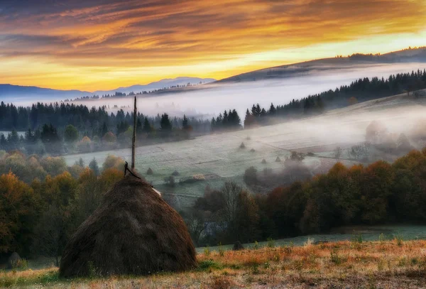 Una pila de heno. Una mañana nublada de otoño. Un pintoresco amanecer en los Cárpatos Ucranianos —  Fotos de Stock