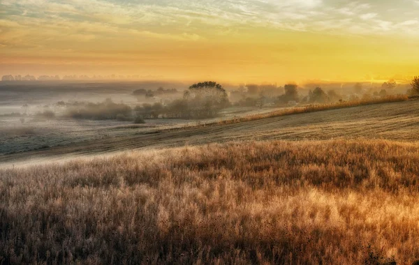 Mattina d'autunno. Nebbia alba in un campo pittoresco — Foto Stock