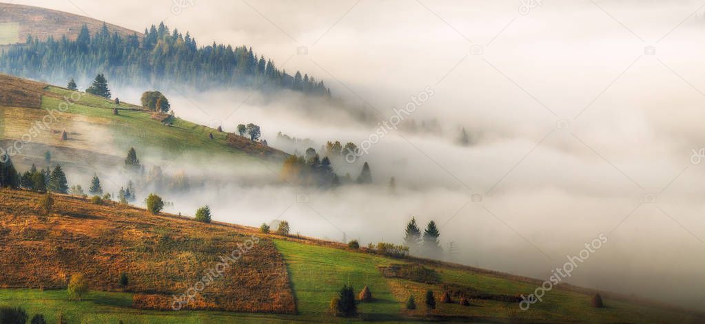 Carpathian foggy morning