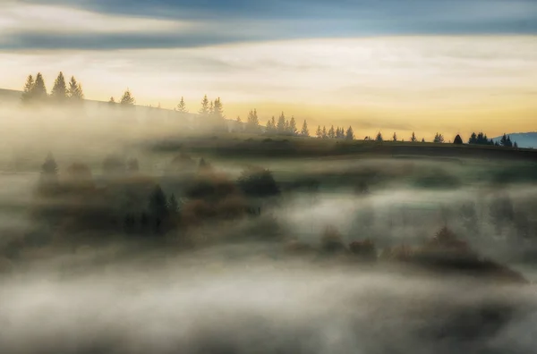 Een stapel hooi. Een mistige ochtend van de herfst. Een pittoreske dageraad in de Oekraïense Karpaten — Stockfoto