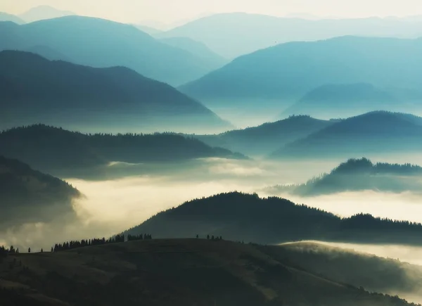 Silhouette di montagne. Una nebbiosa mattina d'autunno. L'alba nei Carpazi — Foto Stock