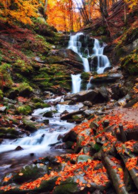 sonbahar şelale, Karpat Dağları'nda pitoresk şelale
