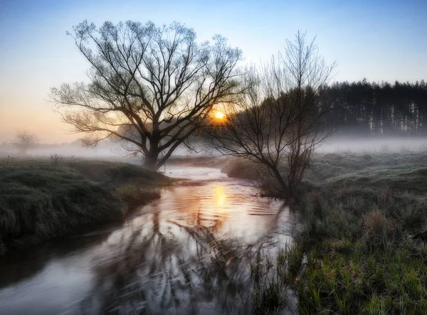 Весняний ранок. мальовнича річка. туманний світанок — стокове фото