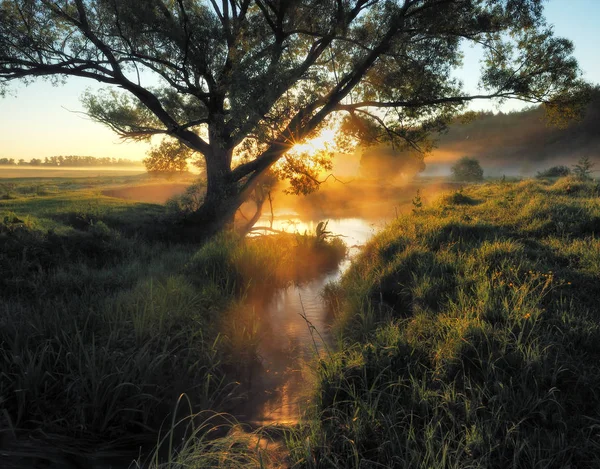 Весеннее утро. живописная река. туманный рассвет — стоковое фото