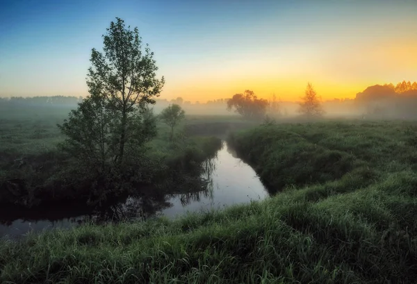 Rivier. Lentemorgen door de pittoreske rivier, gouden stralen in de mist — Stockfoto