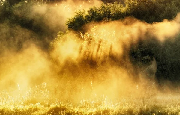 Fluss. Frühlingsmorgen am malerischen Fluss, goldene Strahlen im Nebel — Stockfoto