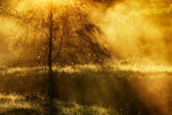 Fluss. Frühlingsmorgen am malerischen Fluss, goldene Strahlen im Nebel — Stockfoto