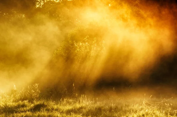 Fluss. Frühlingsmorgen am malerischen Fluss, goldene Strahlen im Nebel — Stockfoto