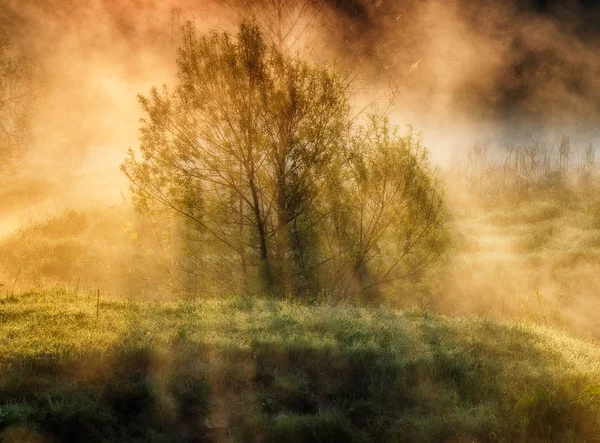 Rivière. Matin de printemps au bord de la rivière pittoresque, rayons dorés dans le brouillard — Photo