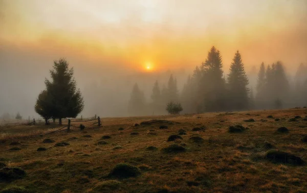 Nebliger Morgen Herbstdämmerung Den Karpaten — Stockfoto
