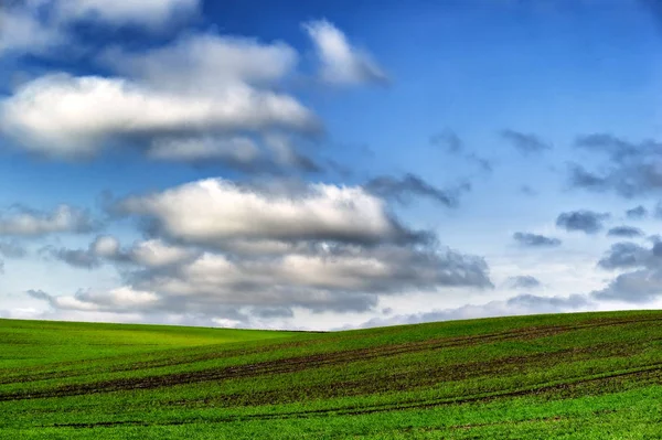 Hilly Field Beautiful Sky Hilly Field — Stock Photo, Image