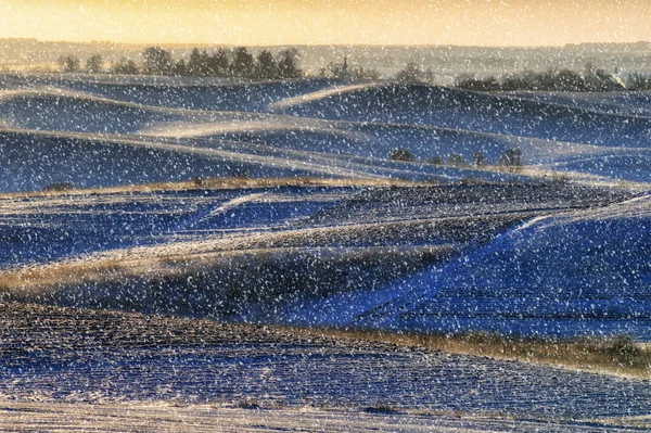 Zimní Pole Sněžení Kopcovité Oblasti — Stock fotografie