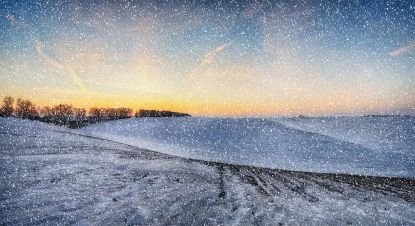 Winter Field Snowfall Hilly Field — Stock Photo, Image