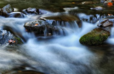 sonbahar şelale. Karpat Dağları'nda pitoresk creek