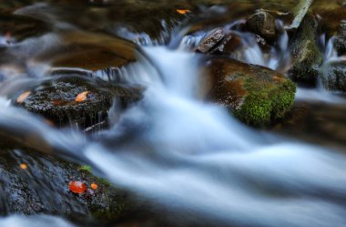 sonbahar şelale. Karpat Dağları'nda pitoresk creek