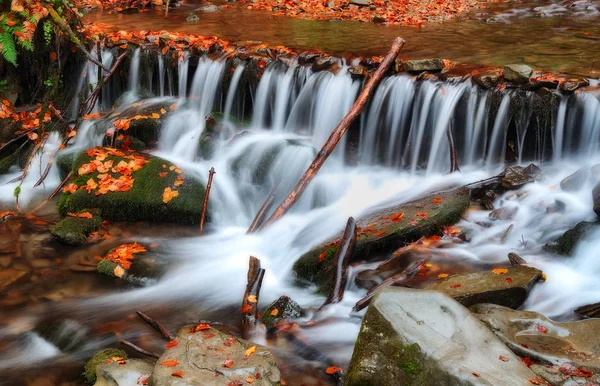 Cascada Otoño Pintoresco Arroyo Las Montañas Cárpatos — Foto de Stock