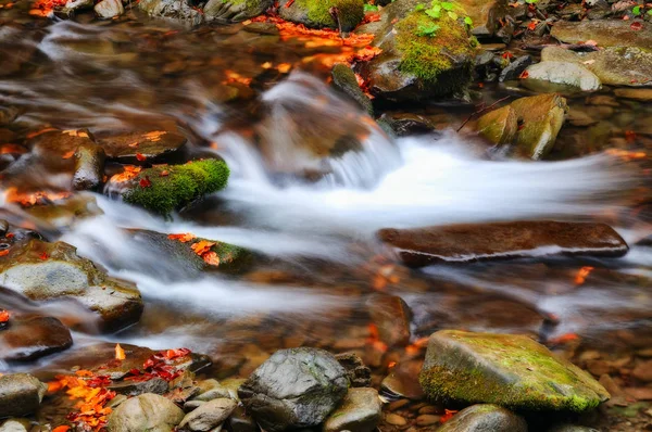 Осенний Водопад Живописный Ручей Карпатах — стоковое фото